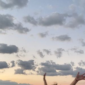 Meet your Posher, Avery